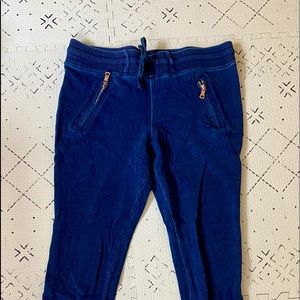 COTTON CITIZEN Indigo Blue Jogger